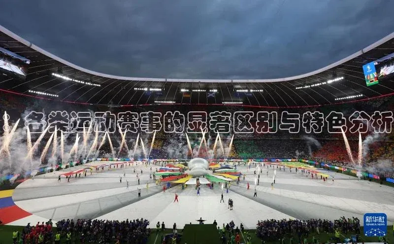 熊猫体育直播元隆雅图：各类运动赛事的显著区别与特色分析