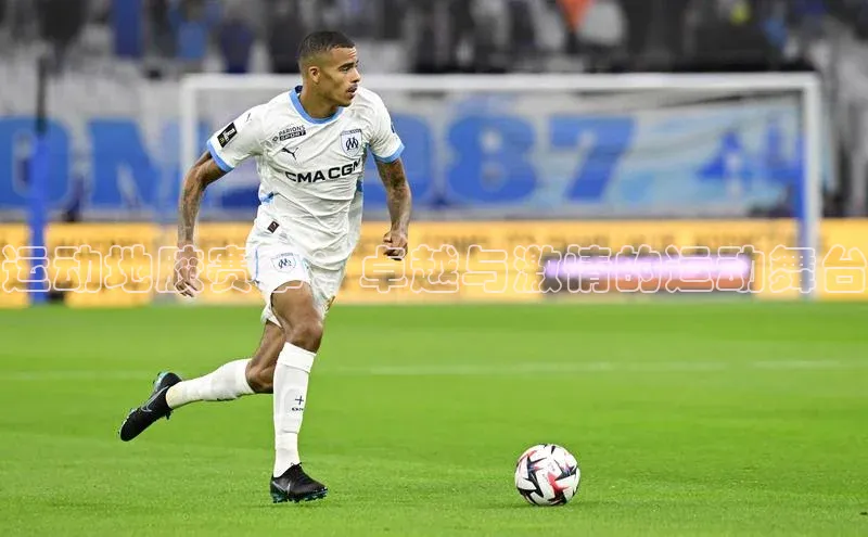 熊猫体育app下载华扬联众运动地胶赛事：卓越与激情的运动舞台