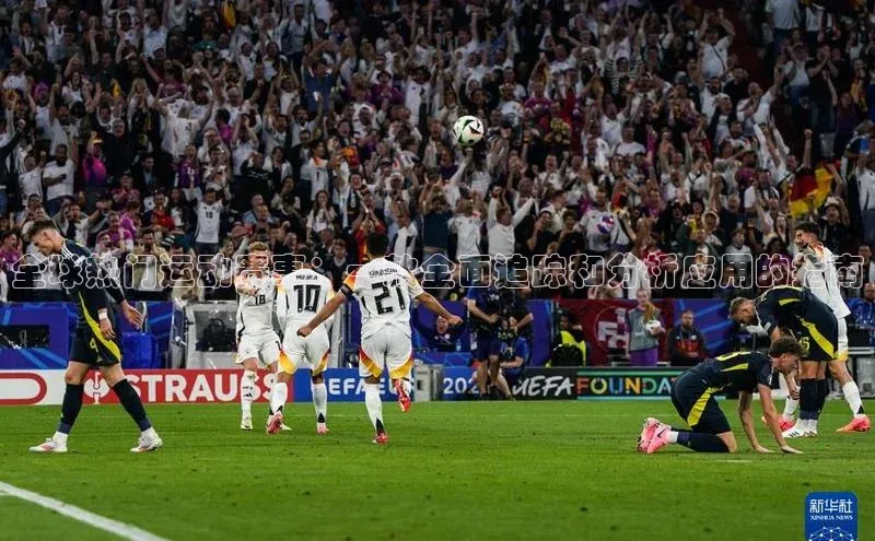 熊猫体育app官方入口阿里尔公司全球热门运动赛事：一款全面追踪和分析应用的指南