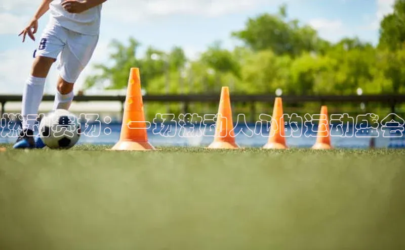 熊猫体育app下载安装歌力思燃动赛场：一场激动人心的运动盛会
