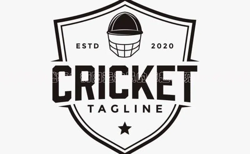 衡阳运动盛事：衡阳运动员的卓越表现与未来挑战