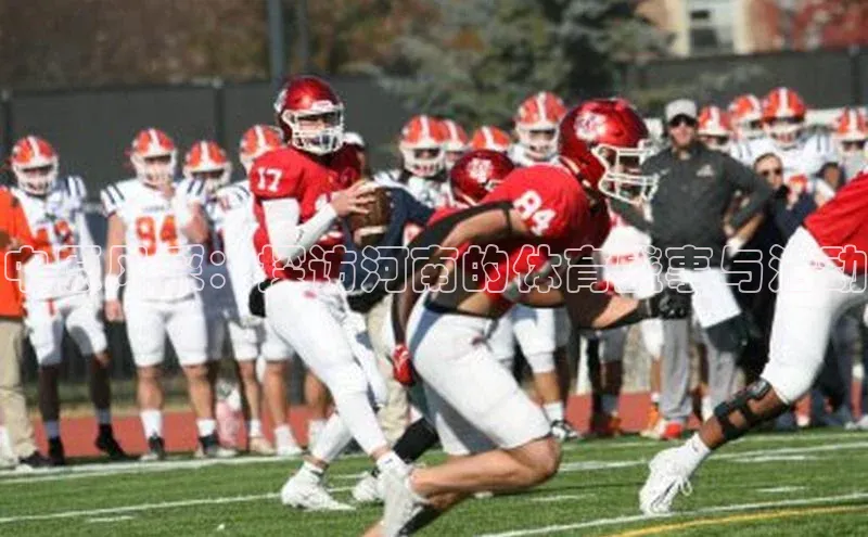 中原风采：探访河南的体育盛事与活动