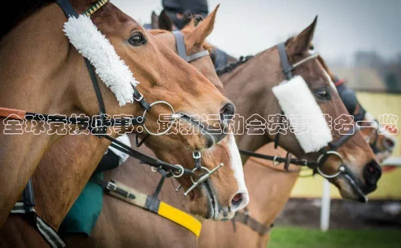 全球竞技盛事：最新运动会赛事排名一览