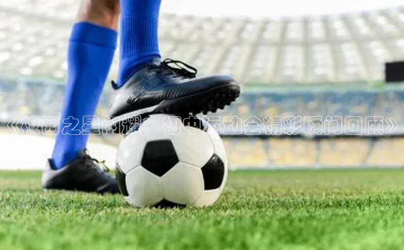 《校园之星闪耀：初中运动会精彩瞬间回顾》