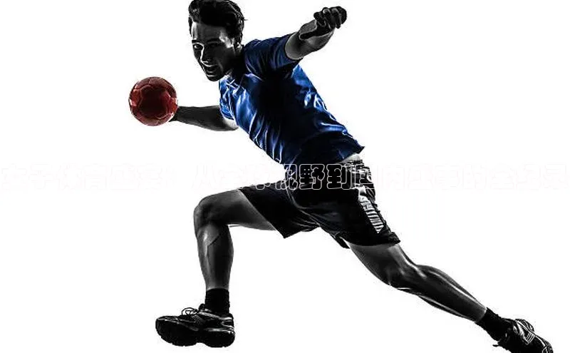 女子体育盛宴：从全球视野到国内盛事的全纪录