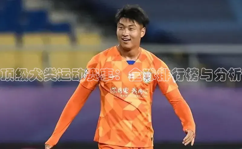 顶级犬类运动赛事：全球排行榜与分析