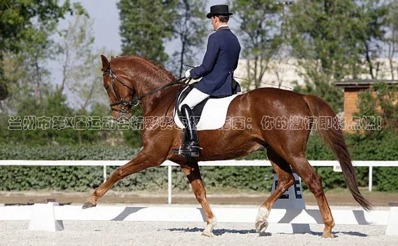 兰州市第X届运动会精彩赛事报名指南：你的激情即将点燃！