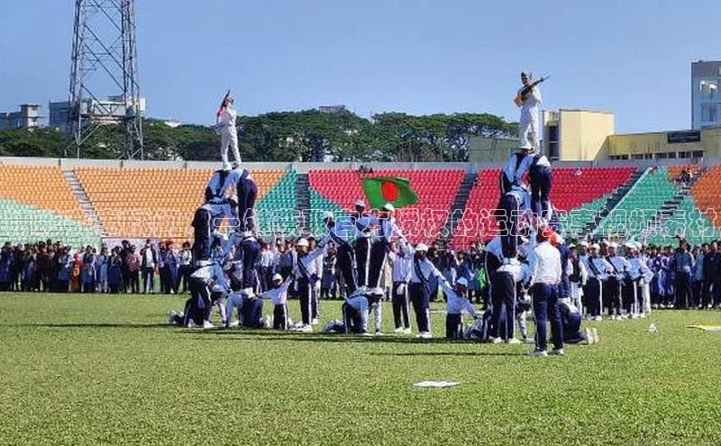 精彩赛事瞬间：一键获取官方授权的运动赛事视频素材