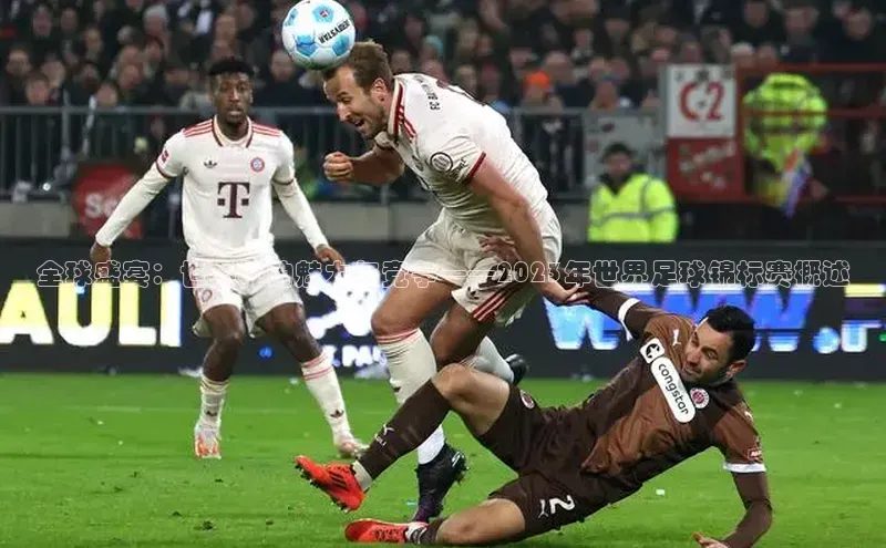 全球盛宴：世界杯的魅力与竞争——2023年世界足球锦标赛概述