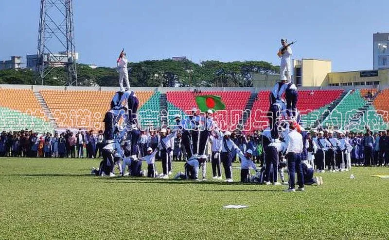 竞技之道：体育运动规则与赛事的奥秘