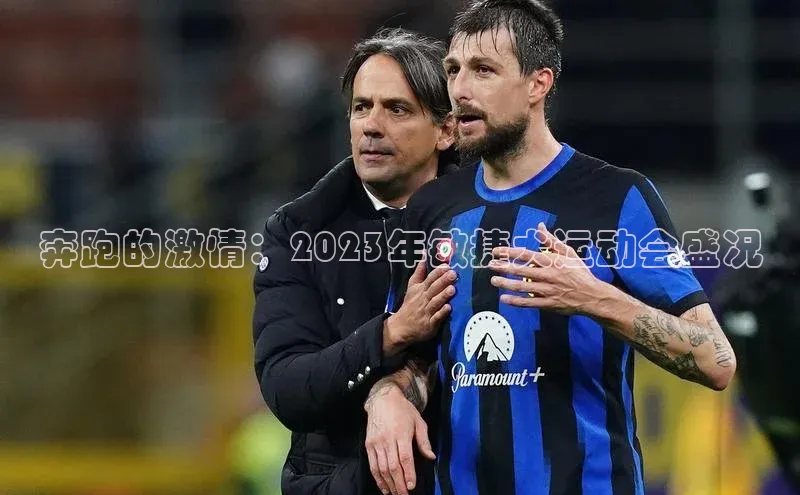 奔跑的激情：2023年敏捷犬运动会盛况