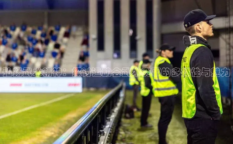 弘扬武术精神：探讨运动会武术赛事的多样性与魅力