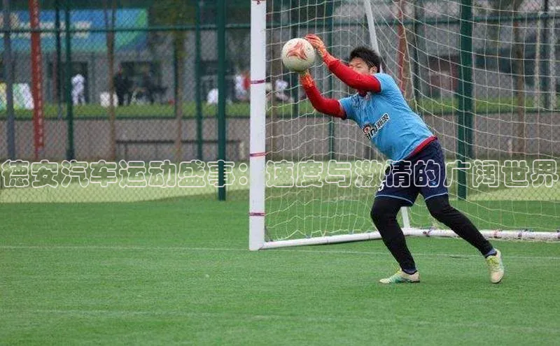 德安汽车运动盛事：速度与激情的广阔世界