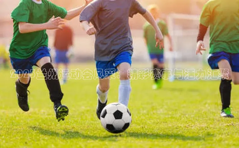 熊猫体育app安装入口