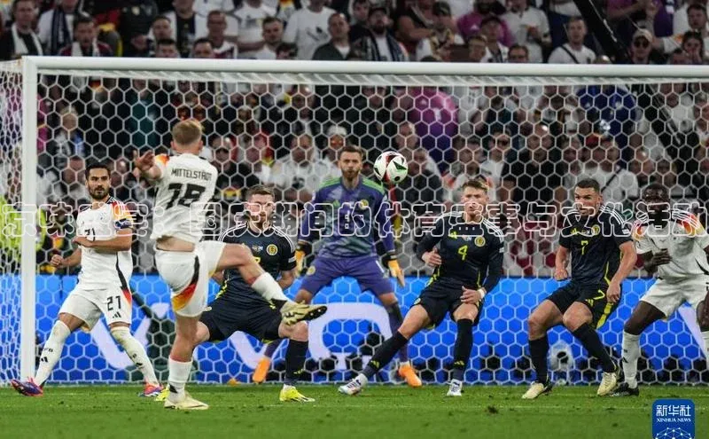 熊猫体育网页版