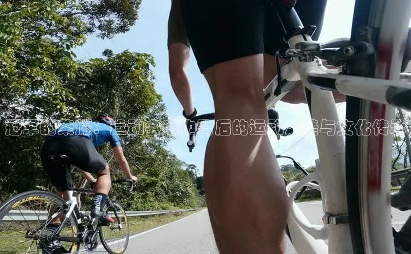 熊猫体育直播app